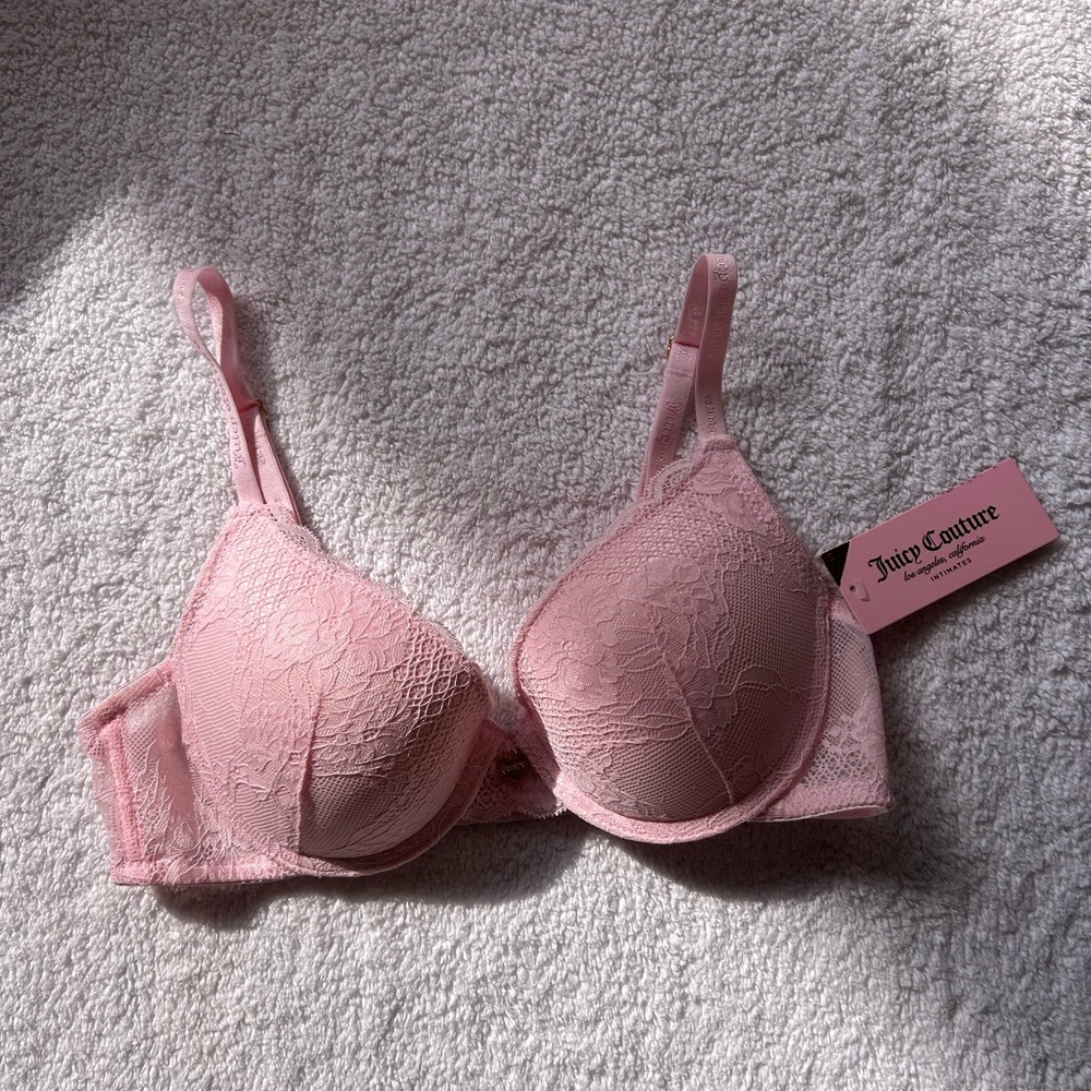 Juicy Couture Blush Lace Push-up Bra NWT 34B